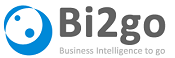 Business Intelligence